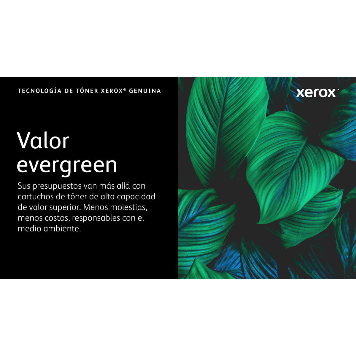 V2HDDA78AF5D039C62A8637DF6879C1E702R7616313P7