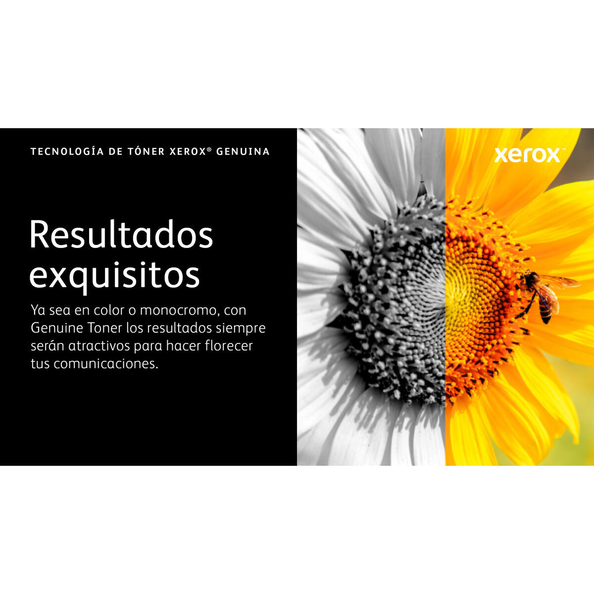 V2H4483A666363629012615976ACB18E790R7808841P8