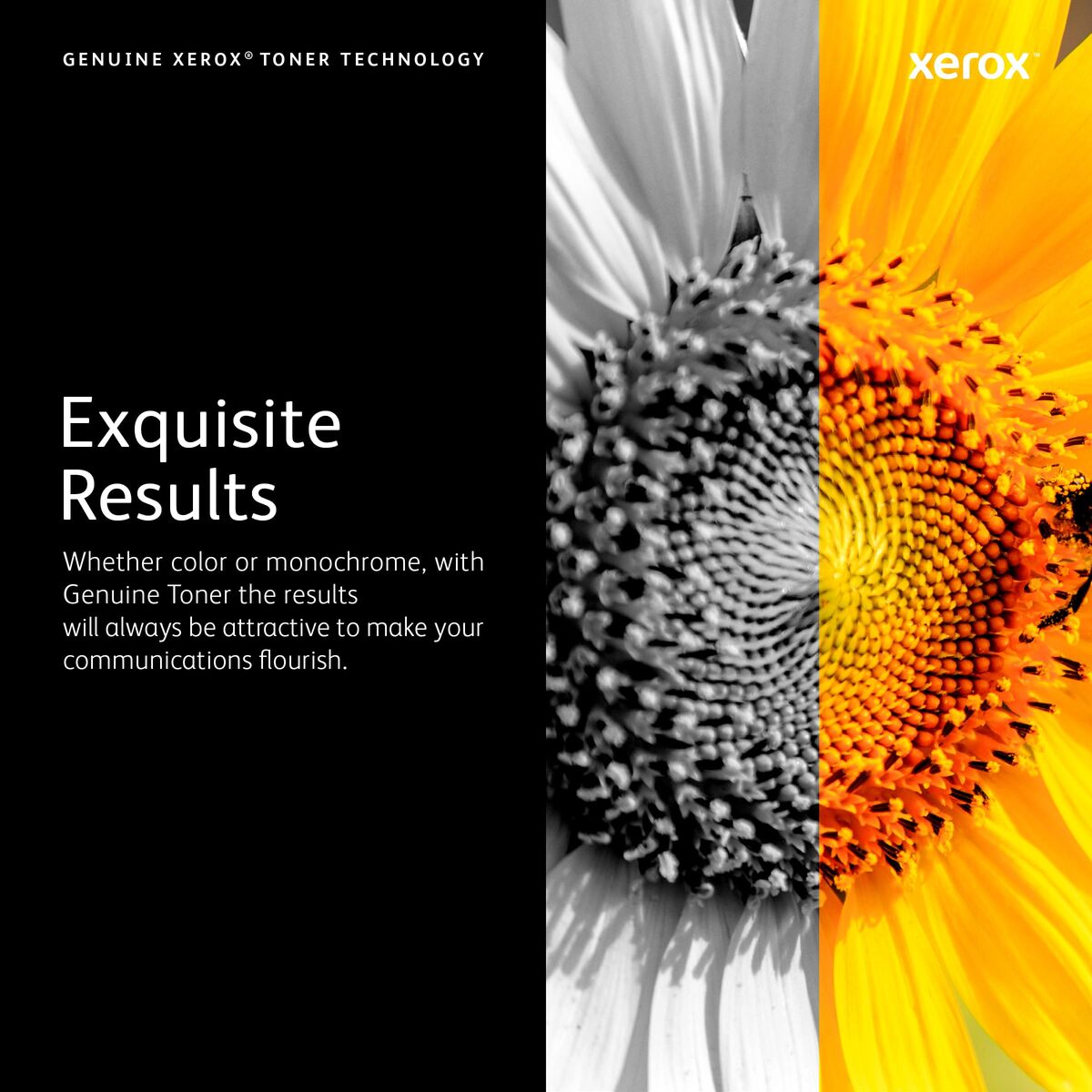 V2H1B31EFD69A105930D6A9CF77C364C055R7723225P6