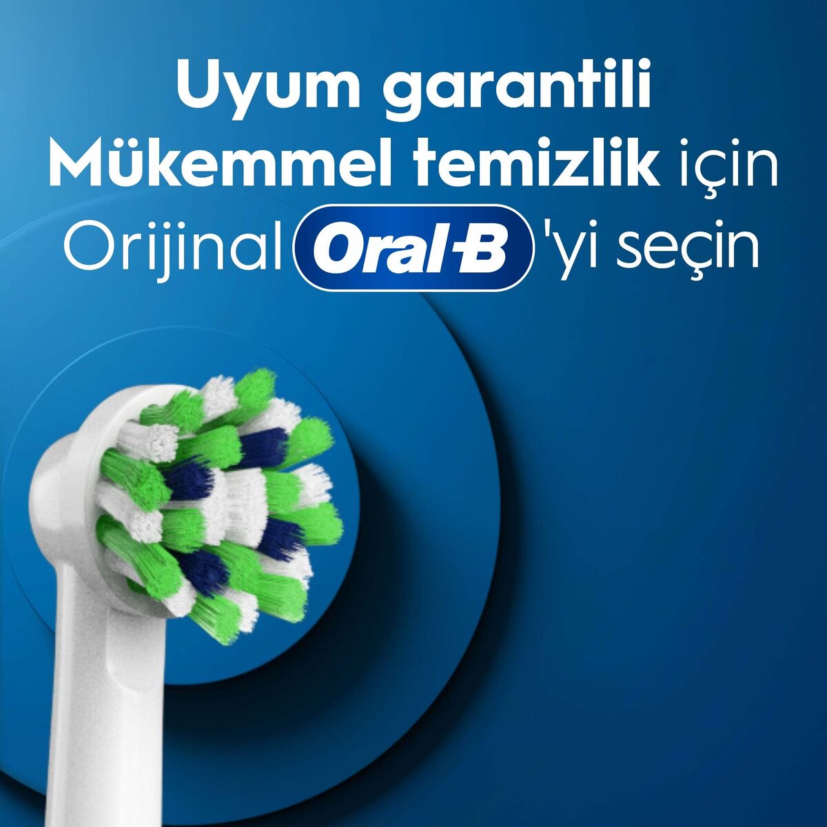 V4H33BD6461D916AD741D919A885D4C1C26R7501962P10