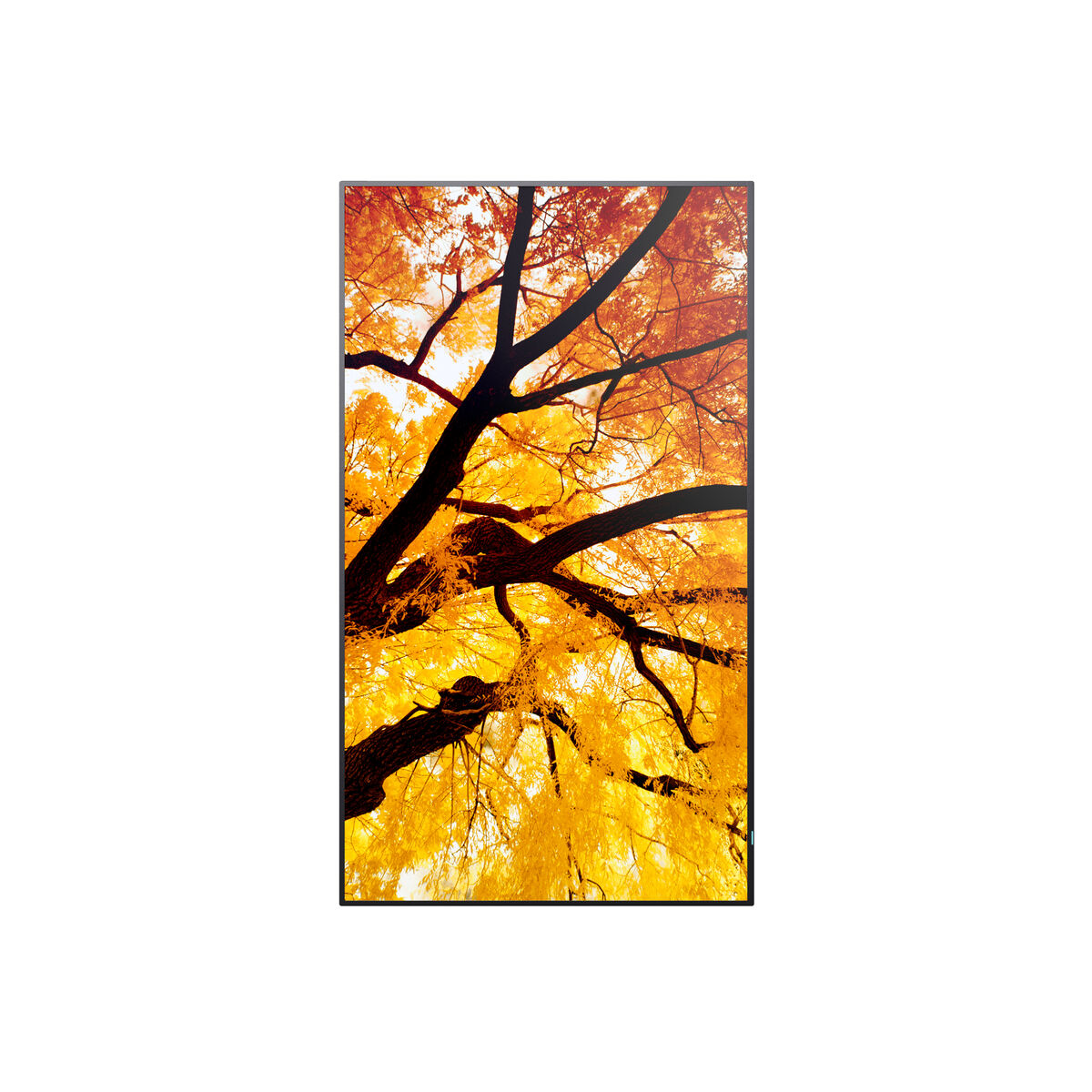 V2H83D93D47D5C06C7A552D43FDE42682ACR7466252P1