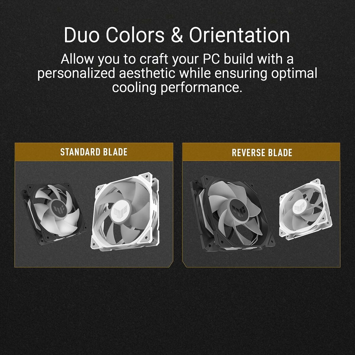 V4H7006922867E9186BC178844A4CAE961BR7295601P9