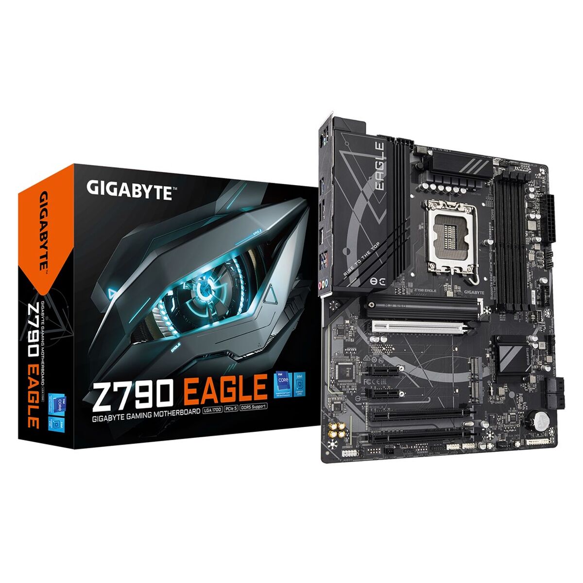 V4HDBAF81F33E8FB8A7FA89F345756480A6R7425700P10