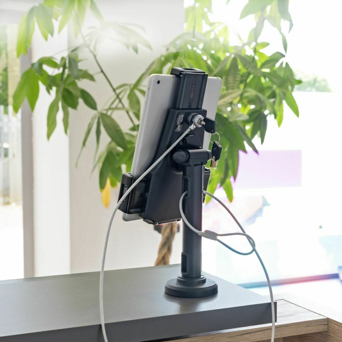 V2H0810116A216027DF3A9653EDB7F1370AR7289595P7