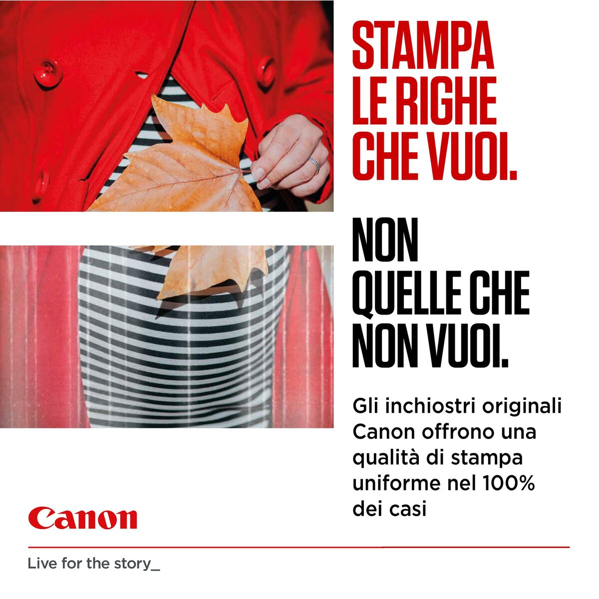 V2HC8C0BD7CCAEFCBD20BBE6C98DC10CD02R7427958P8